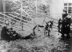 Almetjedåehkie/ gruppe