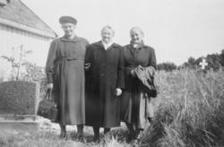 Tre søstre fra Skatvik, Tranøy.
