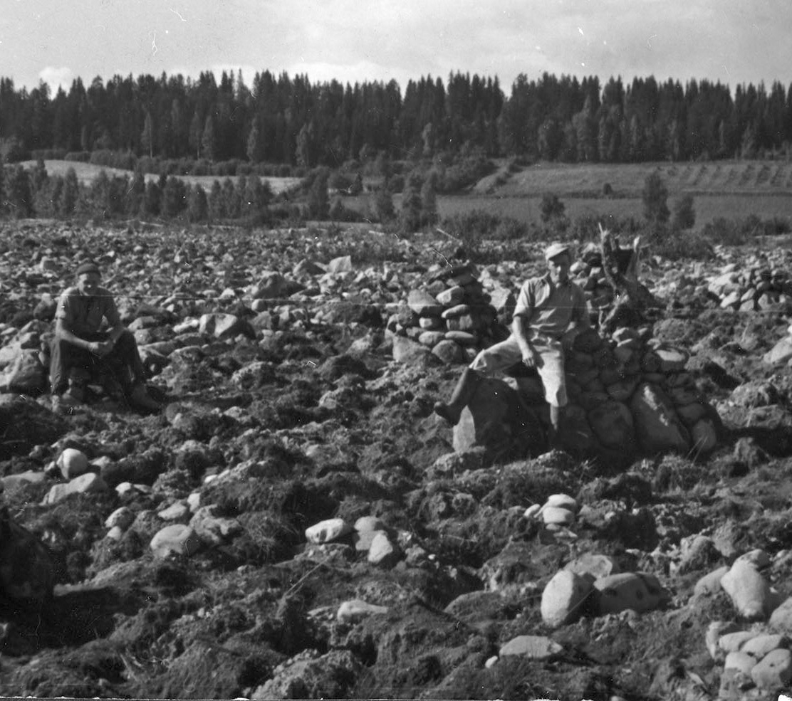 Nydyrking i Lodviken. Mye stein. Arne Syversen (1923-1976) til høyre.