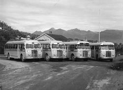 Busser fra Harstad Oppland Rutebil, fotografert et sted i næ