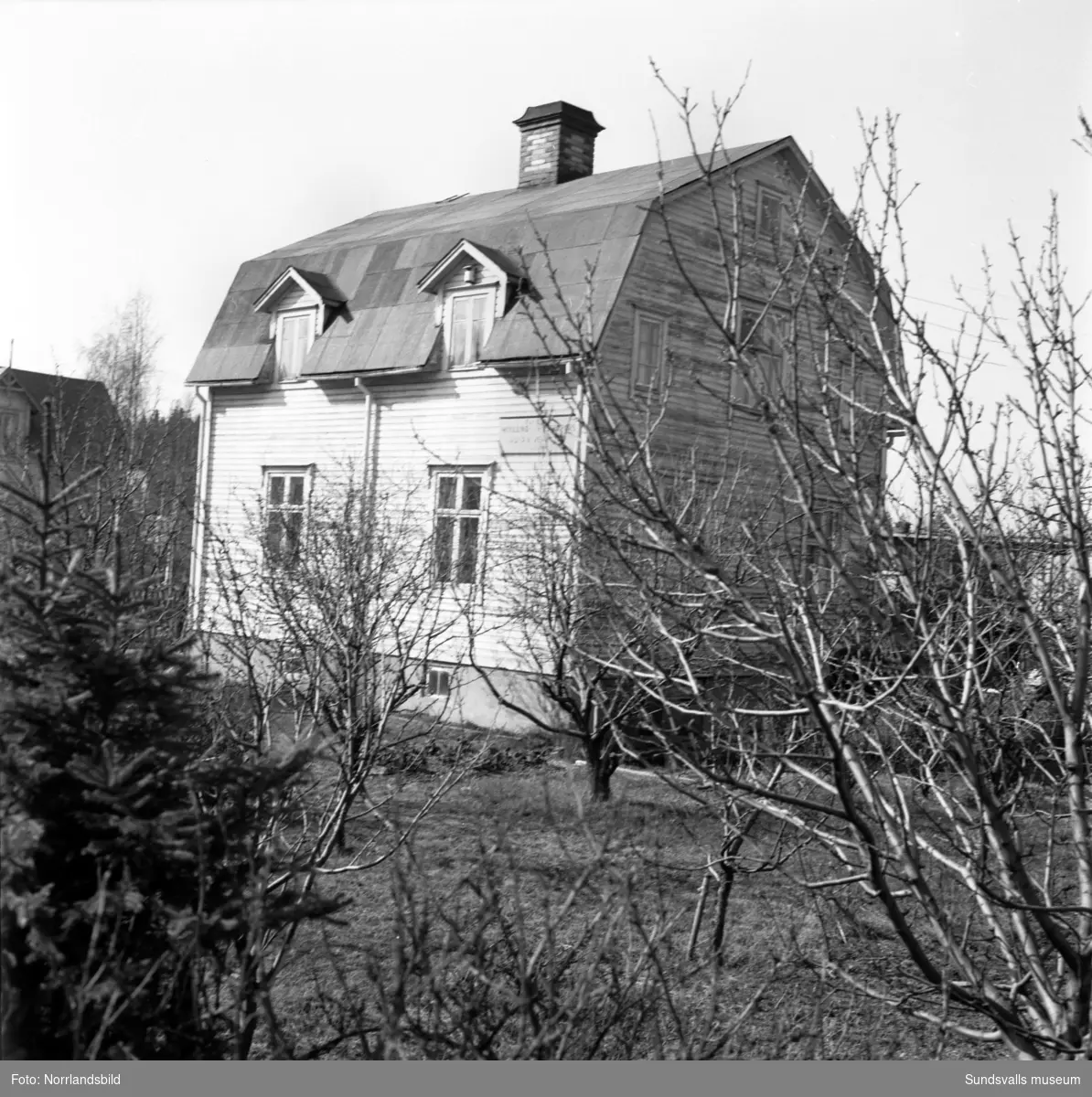 Wiklunds numera rivna hus på dåvarande Medborgargatan 21 i västra Skönsberg. (Riddargatan)