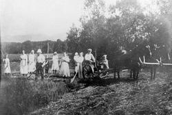 Gruppebilde tatt i slåttonna. Hest med slåmaskin til høyre.