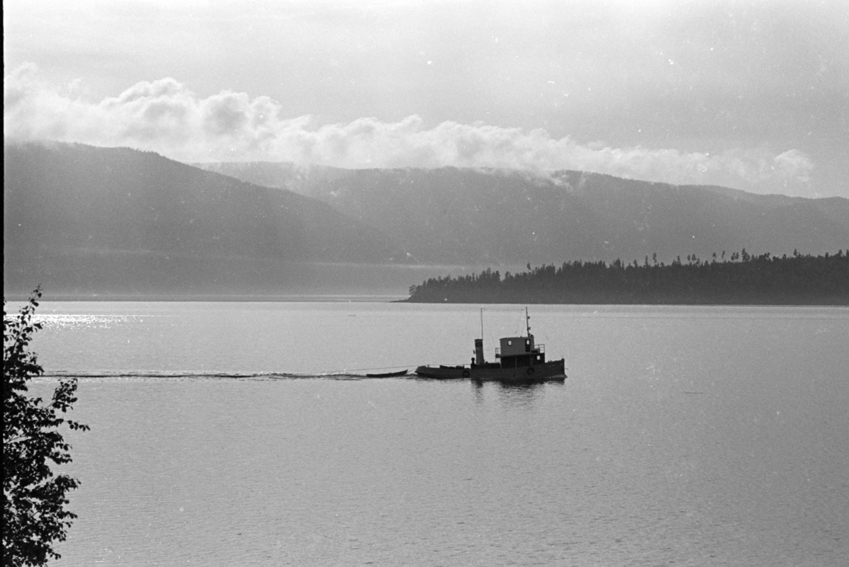 SÆVAT (1920) på vei inn Viksvika mot Tangen. Tømmerbåt, slepebåt, mjøsbåt, Mjøsa.