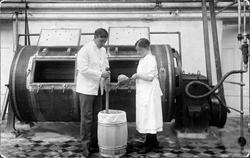 Den gamle smørkjerna, Ørland meieri