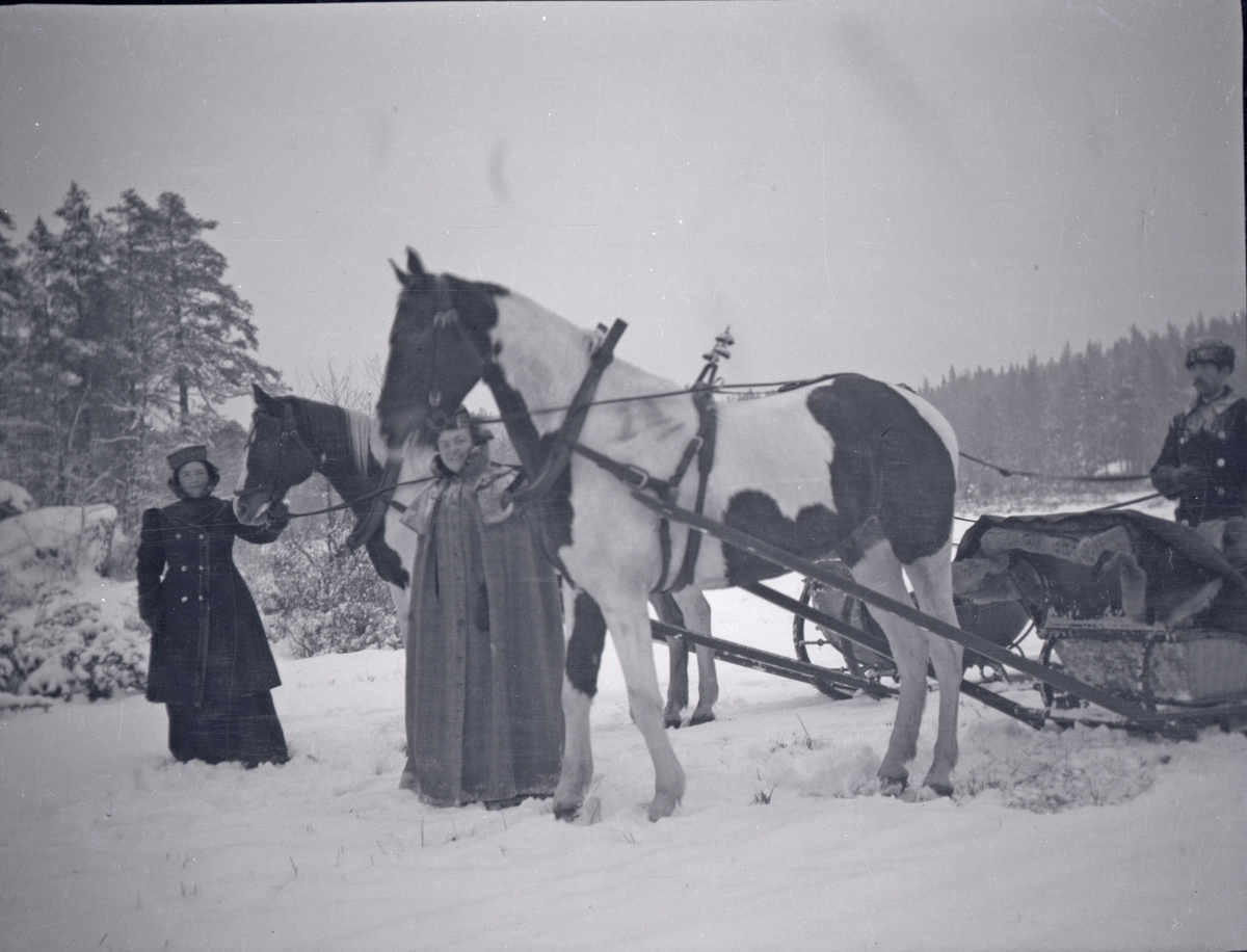 Två damer och en herre samt två hästar som är spända för slädar. I närheten av Tuna gård.