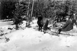Tømmerkipping i Rømskog 1942. Ukjent person.