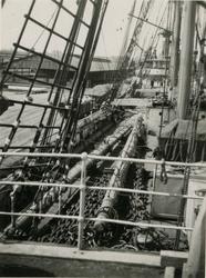 4 mastet stålbark 'Beatrice' (ex. 'Routenburn')(b. 1881, Ste