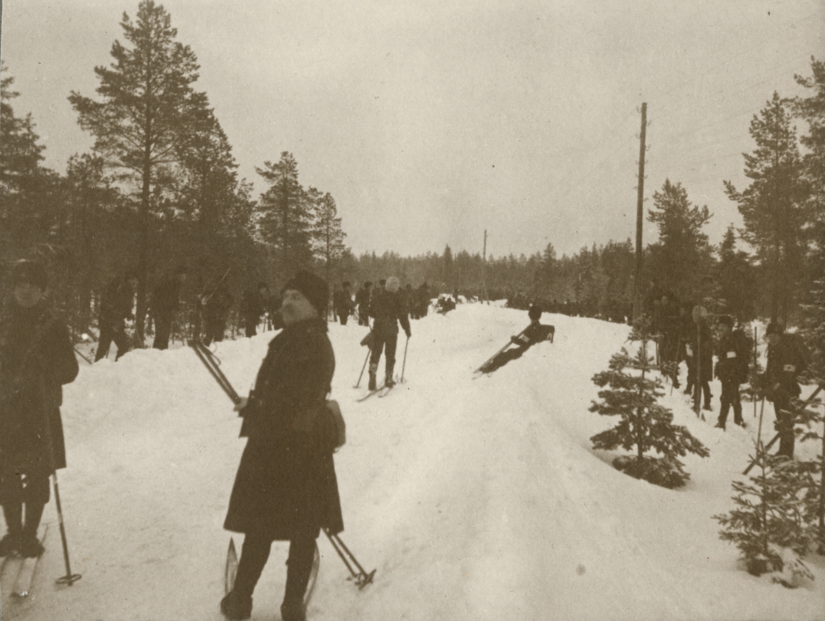 En grupp soldater på skidor vid en väg i skogen.