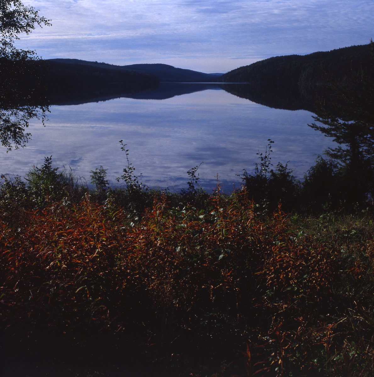 Utsikt över Ängratörn från sydost uppe i branten. Det är blankvatten,  och molnen och bergen speglar sig i sjöns yta, 27- 28 augusti 1990.