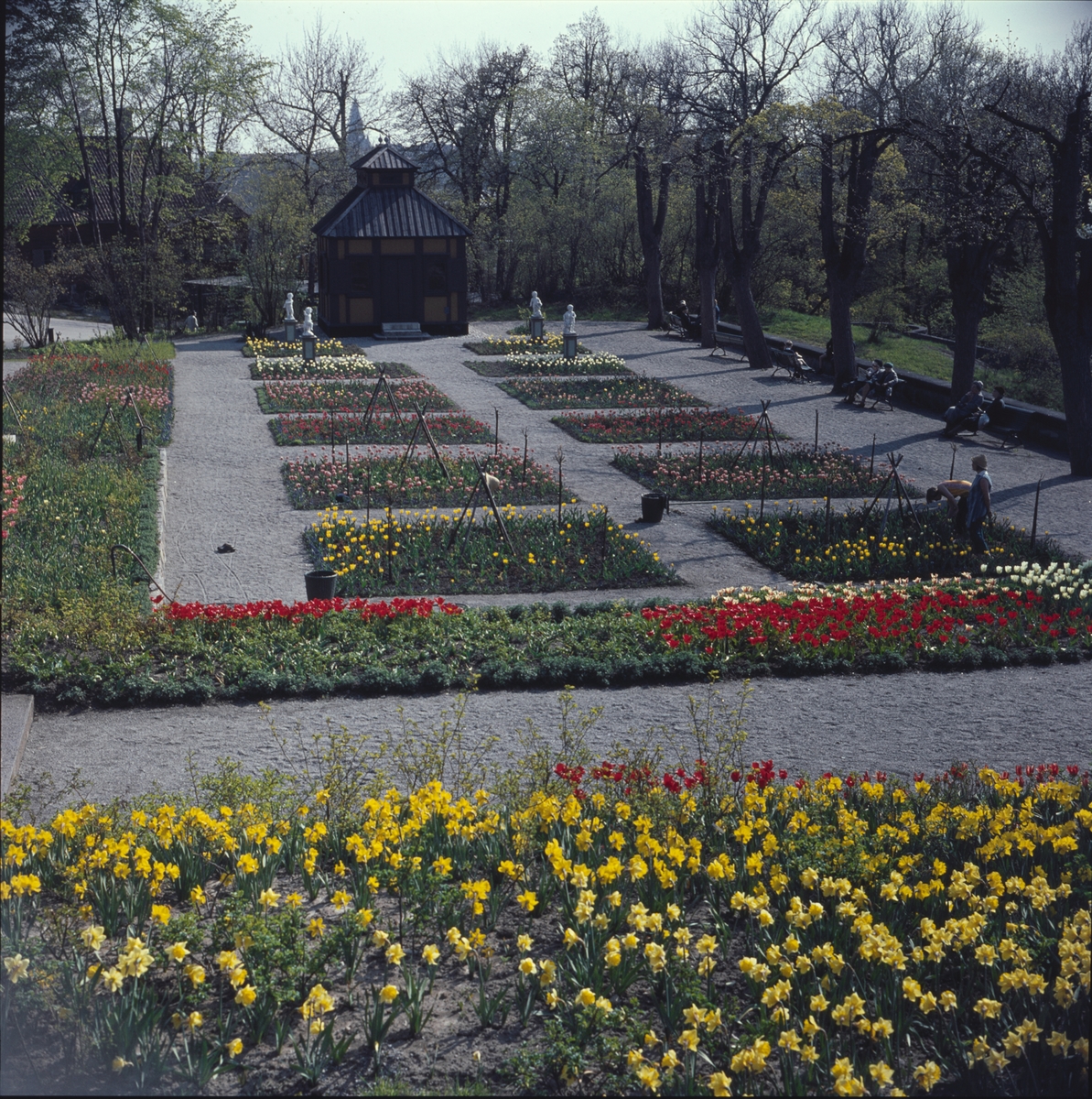 Blommande vårblommor i Rosenträdgårdens välskötta rabatter. I bakgrunden begrundar Swedenborgs lusthus fyra figurer som dansar i den färgrika blomsterprakten.