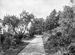 Fra parken ved Borregaard Hovedgård i Sarpsborg, gruslagt st