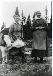 Søre Sørlie, Blautemyrsetra.