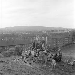 St. Hansbål, ant. Oslo 1960. Barn som lager St. Hans bål, bl