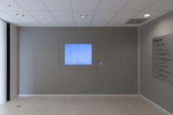 Gymnastics A-B-C-D [Video]