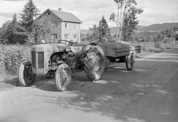 Bussvelt ved Voldmo i Melhus