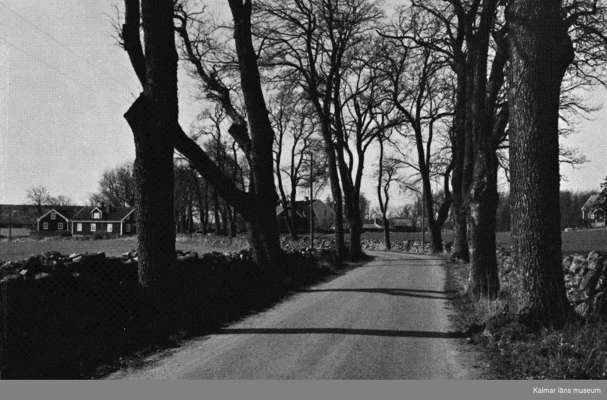 Vy med grusväg och stenmur på båda sidor.
Rapport över kulturhistorisk inventering av Kalmars närmaste omgivningar 1975.