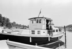 Arve Opsahl, Illustrert