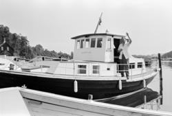 Arve Opsahl, Illustrert