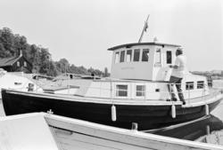 Arve Opsahl, Illustrert