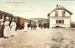 Geilo stasjon med reisende og tog i spor 1