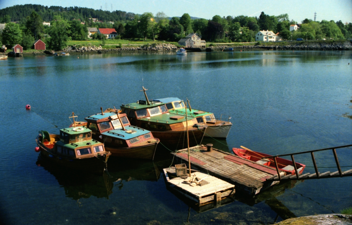 Diverse motiv fra museumsområdet ved Sunnmøre Museum, 1980.