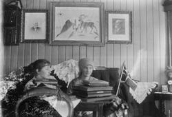 Personer, bøker, flagg, duk, bilder.