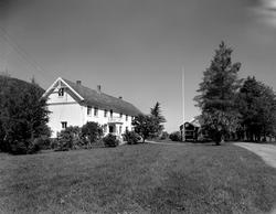 Bortistua, Meisingset. Fra Nordmøre museums fotosamlinger, H