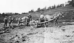 Hester, vogner, personer.