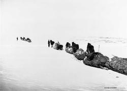 Mosekjøring, hester, personer.