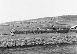 Slåttonn, personer, hest, vogn, hesjer, skigard.