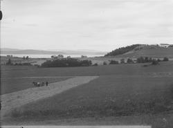 Fra landskapet rundt Skogn jernbanestasjon, slått med slåmas
