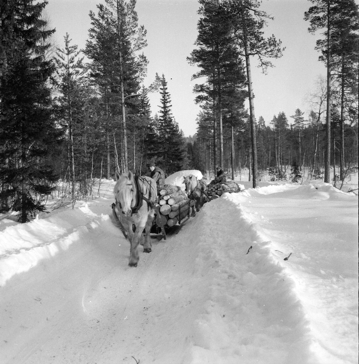 Dalsjön,
Vinterskog,
1959