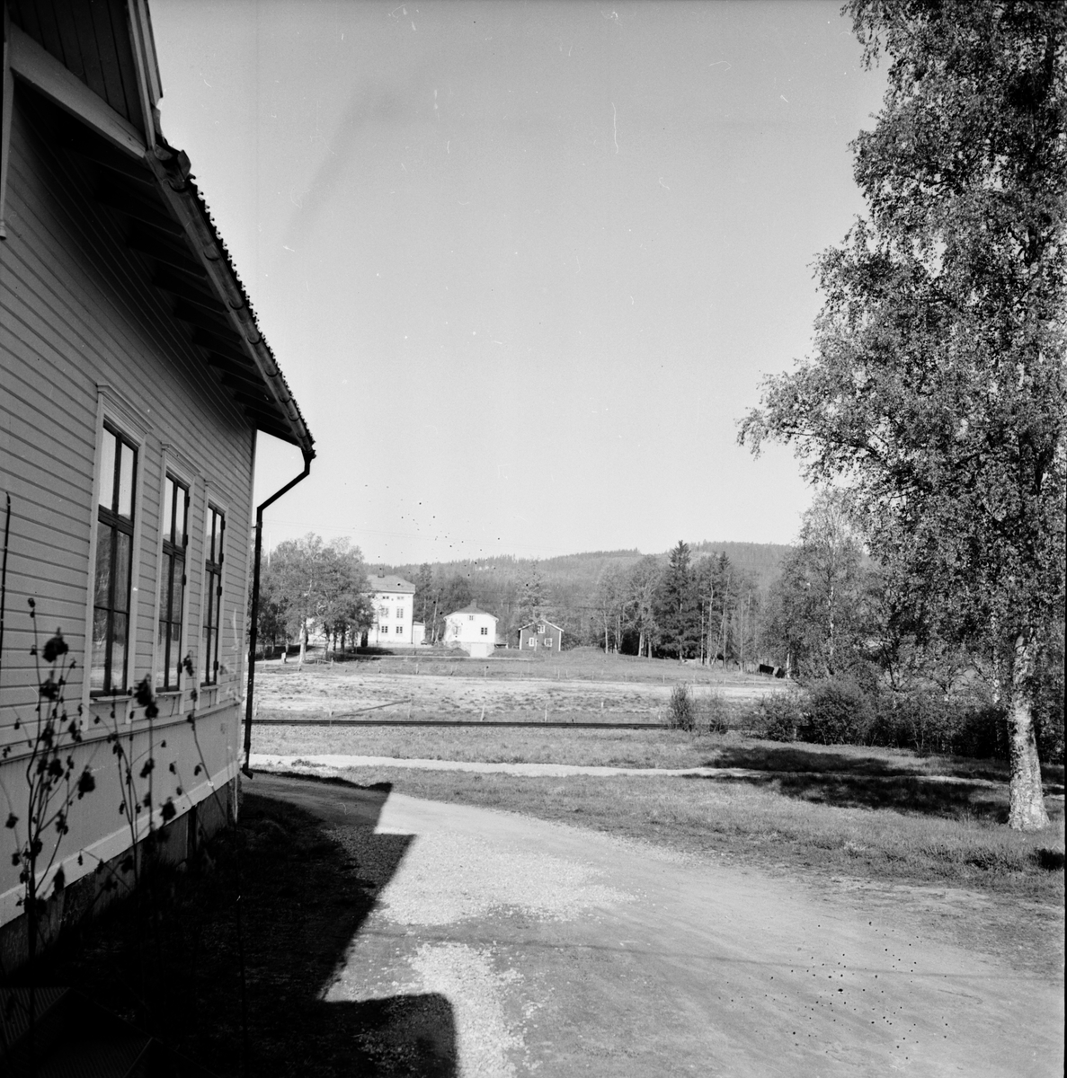Arbrå,
Hägersta,
1971