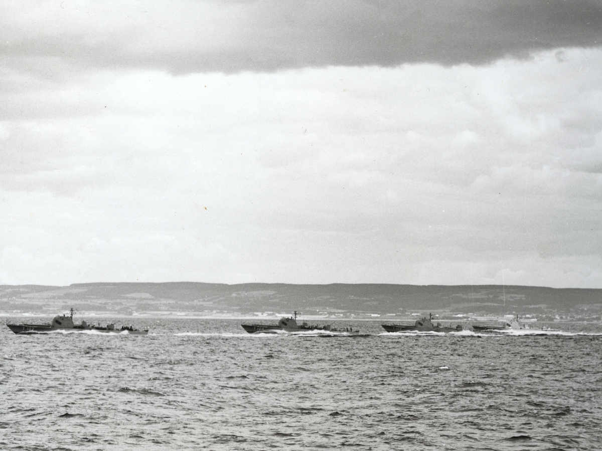 Fyra stycken torpedbåtar av plejad-klass framförs i Skälderviken. Från vänster HMS Plejad (T 102), HMS Pollux (T 104), HMS Polaris (T 103) och  HMS Aldebaran (T 107). Bilden är tagen i samband med "Operation kullen" 1955.