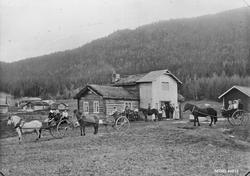 Gardsbruk, hester, vogner