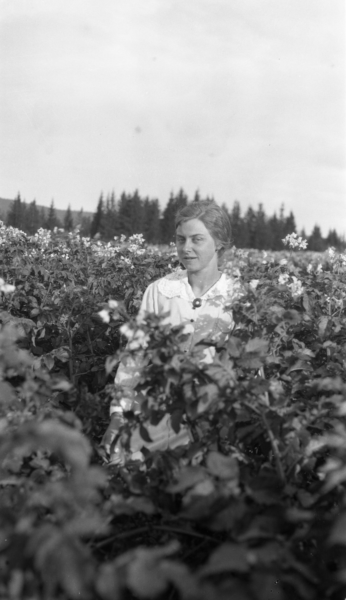 Kvinne som sitter på huk blandt blomstrende planter. Personen er Sigrid Tømta (f.1900), og bildet er trolig tatt i nærheten av hennes hjemsted Skullerud i Rossgutua på Skreia.