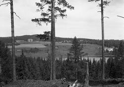 Kastadtjernet og Kastad gård i Vardal. Fem bilder.