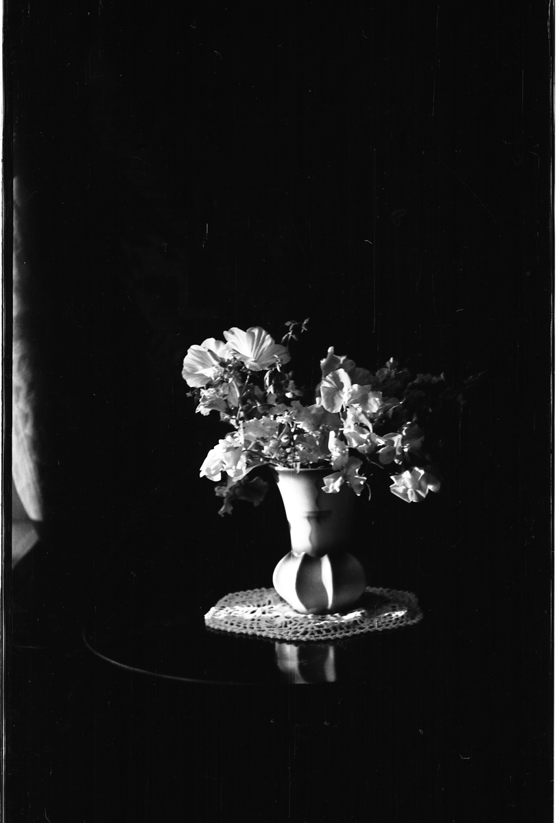 Blomster i innemiljø. To bilder, det ene av en kaktus, det andre av blomster i en vase.