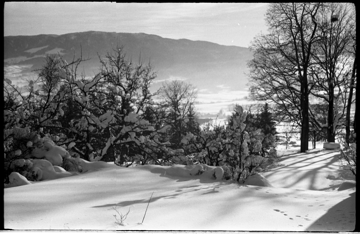 Vinterstemninger fra hage og gårdstun på Balke Vestre i Østre Toten. Serie på 8 bilder.