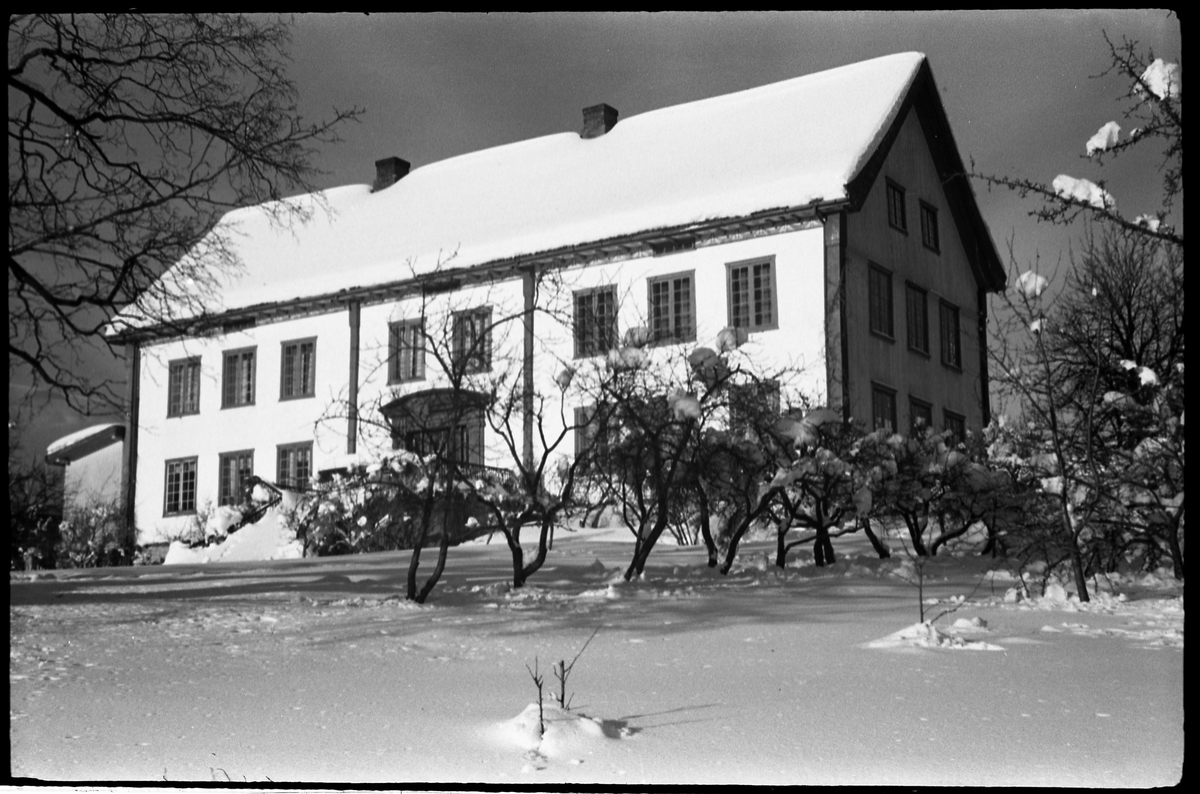 Vinterstemninger fra hage og gårdstun på Balke Vestre i Østre Toten. Serie på 8 bilder.