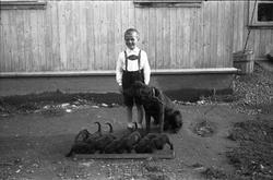 Gutt med hund og hvalper. Gutten er Kjell Nyhagen fra Kraby,