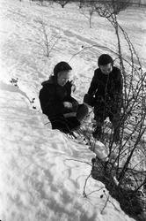 Sigrun og Kjell Røisli høster nyper i hagen hjemme på Odberg
