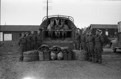 Opplasting av hester på lastebil ved Hærens Hesteskole på St