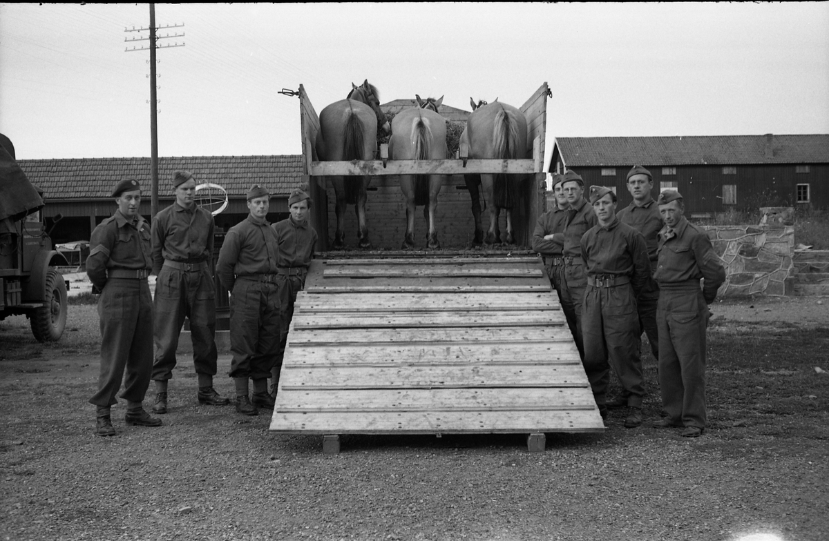 Opplasting av hester på lastebil ved Hærens Hesteskole på Starum september 1948. Serie på 24 bilder. Lengst til venstre på bilde nr. 1 står daværende sersjant Ottar Markeng.
Bildene nr. 1-4 og 17-24 eer trolig fra Hoffsvangen, de øvrige fra Starum Leir.