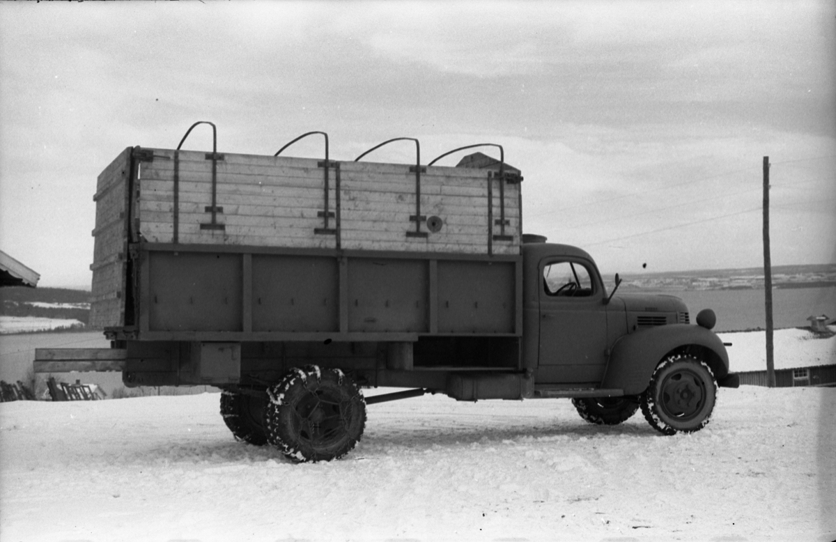 Hestetransport med lastebil ved Hærens Hesteskole på Starum oktober 1948. Serie på 18 bilder.