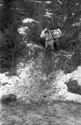 Hærens Hesteskole øver med kløv i Billeruddalen i Østlia på 