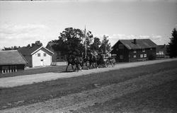 Kjøring med firspann på Starum juli 1949. Fire bilder. Ingen