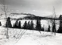 Sørbekkseter Fjellstue