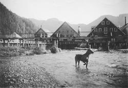 Big Port Walter, Alaska, USA. Fra norske innvandrerstrøk nær