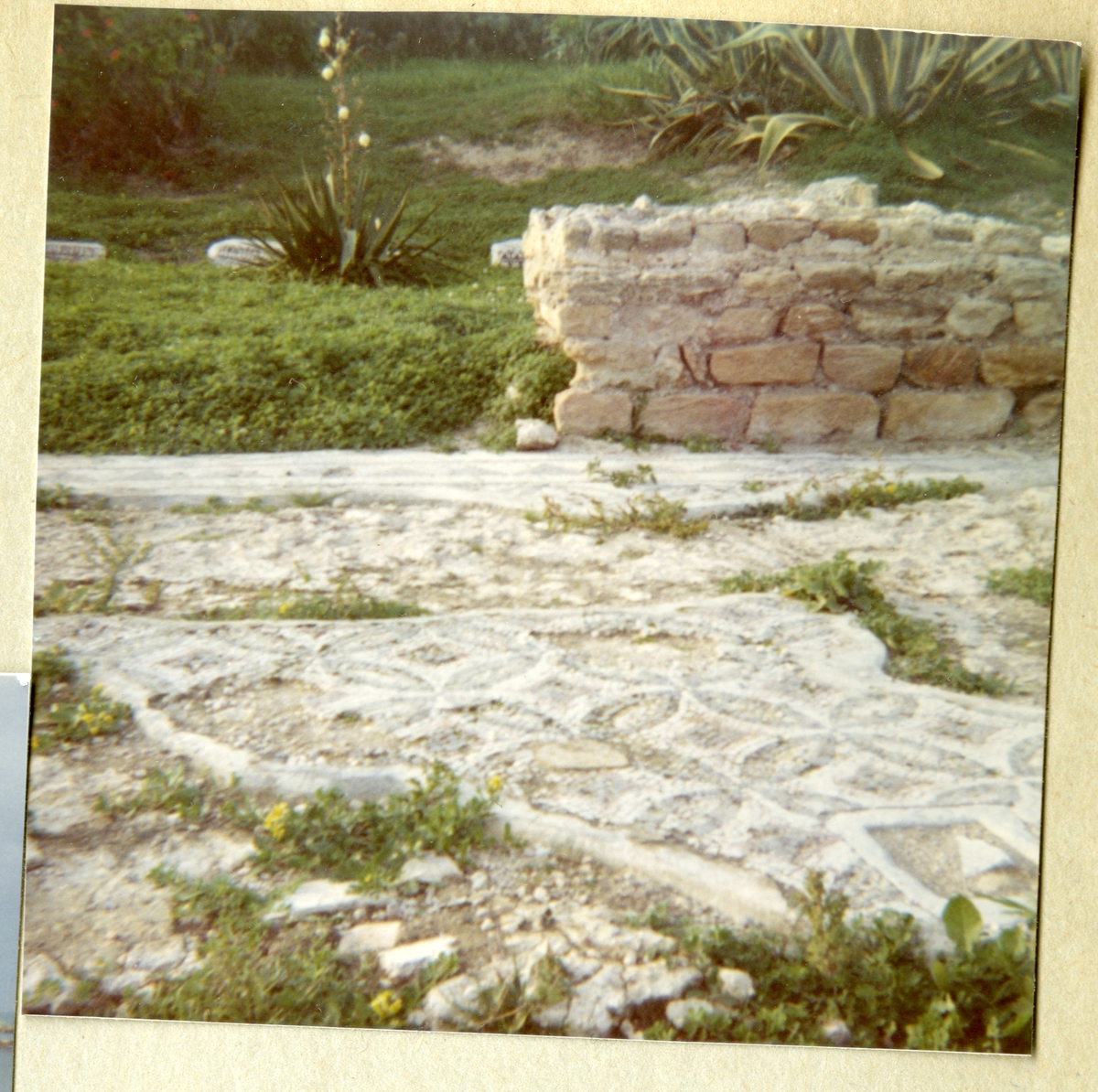 Bilden föreställer runinerna av Karthago och är tagen i samband med minfartyget Älvsnabbens långresa 1966-1967.